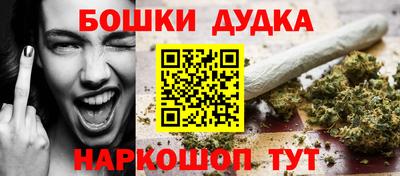 стафф Обь