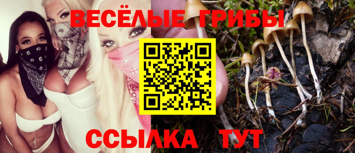 Галлюциногенные грибы Magic Shrooms  Вход с VPN  Тутаев 