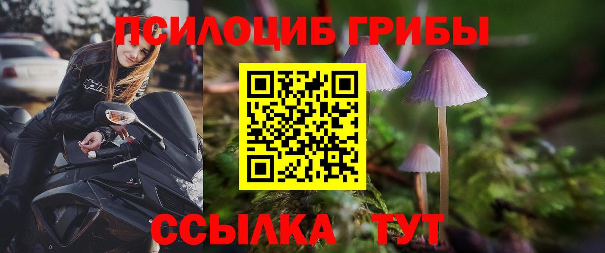 Галлюциногенные грибы мухоморы Тутаев